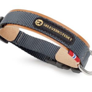 Secure Hundhalsband