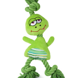 Leksak Frogge Rep Grön