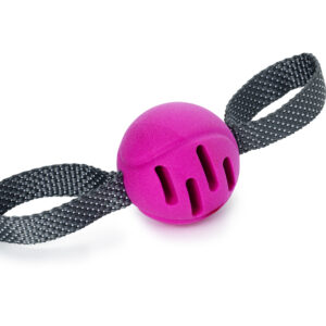 Leksak FetchBall Rosa