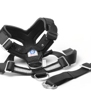 Allsafe Harness Bilsele