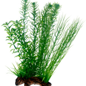 Dekor Flora Root 2 L 30cm