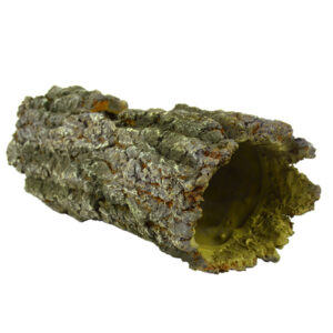 Bark Hole