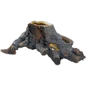 Stump Cavity 2