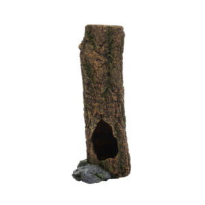 Cork Trunk 2